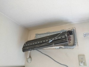 IMG20250803091259