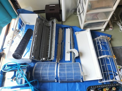 IMG20250803095711