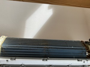 IMG_00093