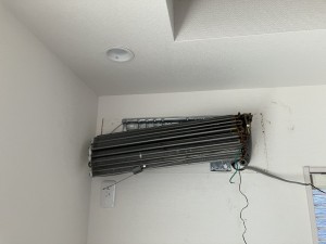 IMG_00165
