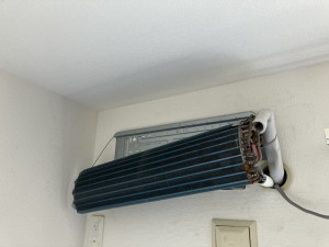 IMG_0026-1