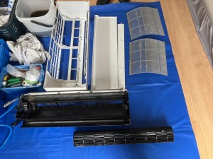 IMG_00354