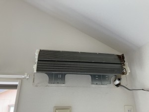IMG_0036-1