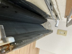 IMG_0047 (1) IMG_0047-1