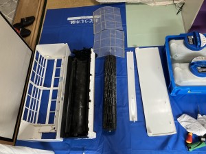 IMG_0048 (1) IMG_0048-1
