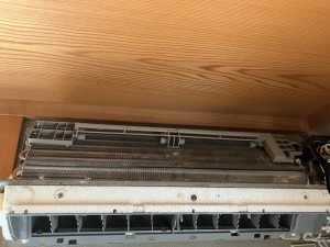 IMG_00673