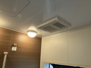 IMG_00853