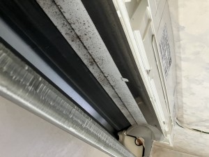 IMG_0127 IMG_0127