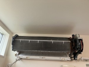 IMG_01533