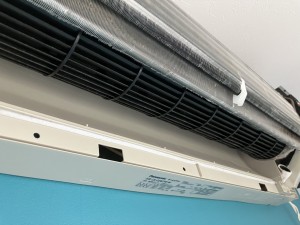 IMG_01662