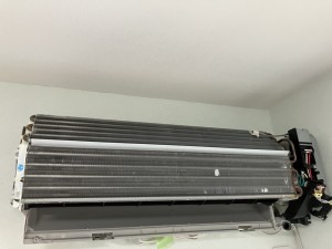 IMG_0174-1