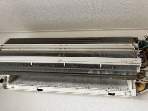 IMG_0184-1