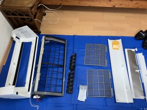 IMG_0192-1