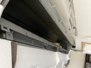 IMG_01982