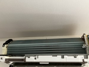 IMG_02003