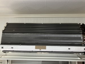 IMG_0220-1
