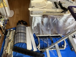 IMG_0251-1