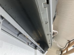 IMG_0252-1