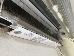 IMG_0274 IMG_02742