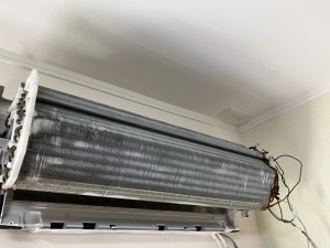 IMG_0276 IMG_02763