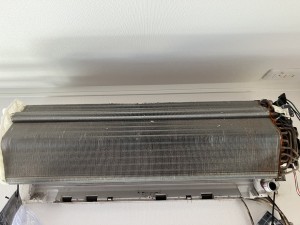 IMG_0283 IMG_02832