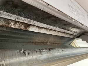 IMG_0284 IMG_02842