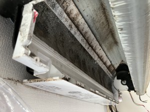IMG_0285 IMG_02851