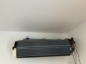 IMG_0296 IMG_02961