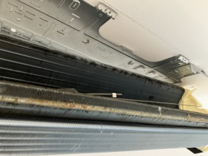 IMG_0297 IMG_02971