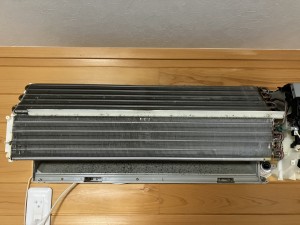 IMG_03363