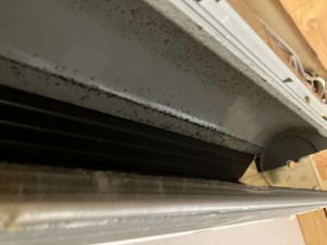 IMG_03372