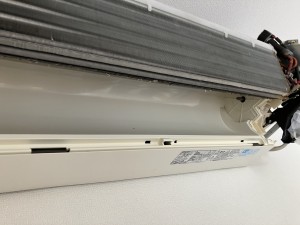 IMG_03772