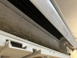 IMG_0436 (1) IMG_0436-1