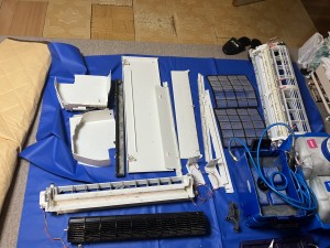 IMG_0438 (1) IMG_0438-1