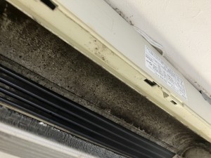 IMG_0451 (1) IMG_0451-1