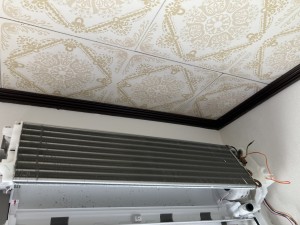 IMG_0480 (1) IMG_0480-1