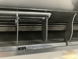 IMG_05542