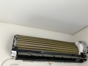 IMG_05552