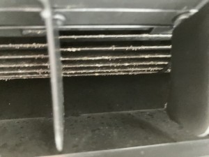 IMG_05582