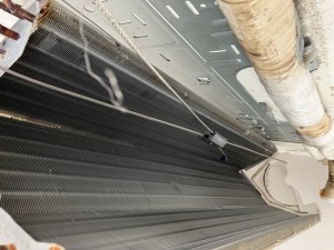 IMG_2349 IMG_23492