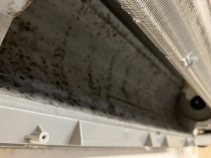 IMG_2396 IMG_23962