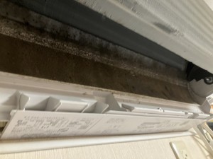 IMG_2408 IMG_24082
