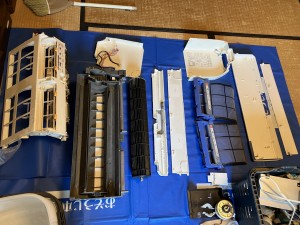IMG_2419 IMG_2419