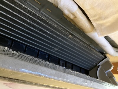 IMG_2423 IMG_24231