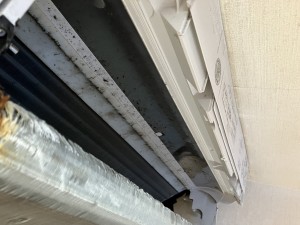 IMG_2475 IMG_24752