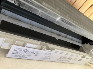 IMG_2476 IMG_24762
