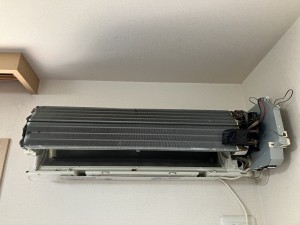 IMG_2487 IMG_2487