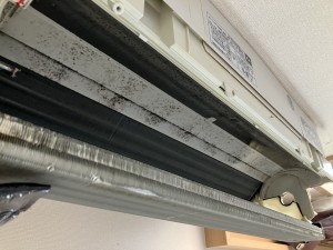 IMG_2488 IMG_2488