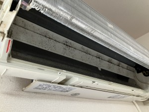 IMG_2489 IMG_24891