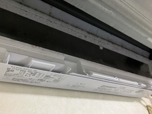 IMG_2521 IMG_2521